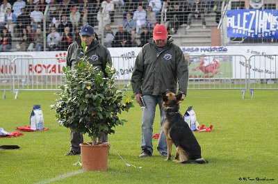 Remise des Prix 102.JPG - CHIENPLUS.COM